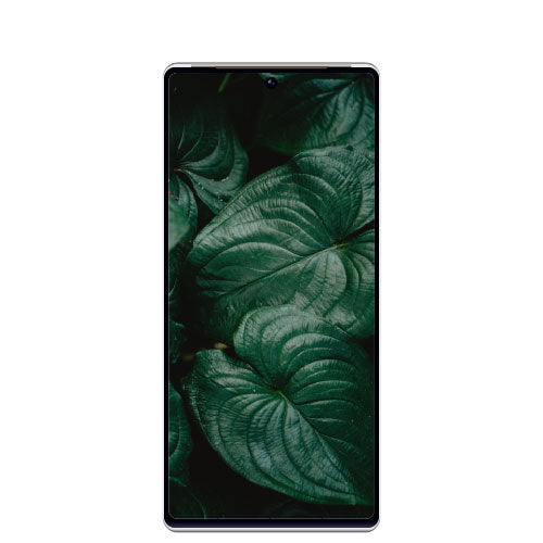 Google Pixel 6 Pro 256GB (Unlocked)